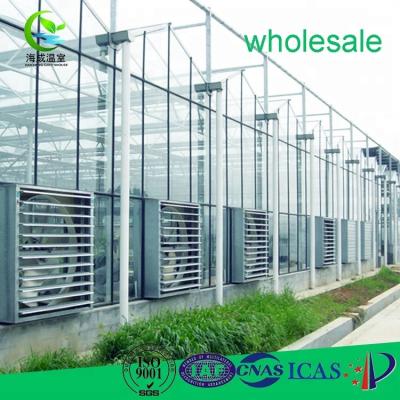 China High Strength Glass Aquaponics Glass Greenhouses Used Blackout System for sale