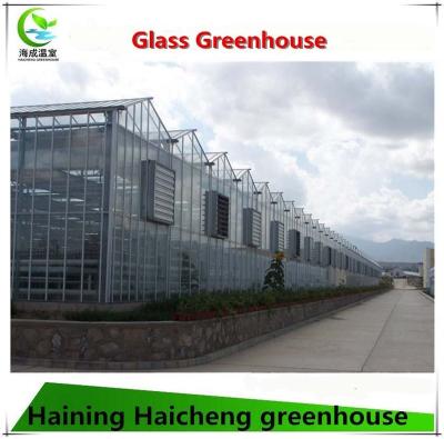 China Modern Mutil Glass Span Glass Greenhouse With Hydroponic System for sale