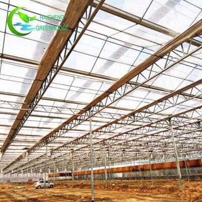 China Most Affordable Exhaust Fan Insect Glass Mesh For Greenhouse Plans for sale