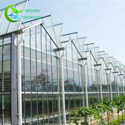 China 2022 Glass Top Selling Used Agricultural Equipment Aluminum Profiles Greenhouses For Mushroom for sale