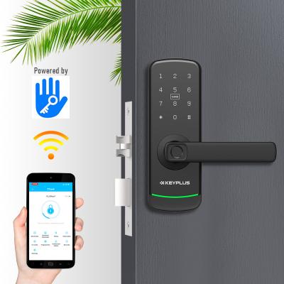 China Tuya TTlock Biometric Electronic Electronic Smart Door Locks Campus Office Wifi Digital Room/Apartment/Airbnb Multi-Function Smart Blue Keyless Fingerprint Home Commercial Password Lock for sale