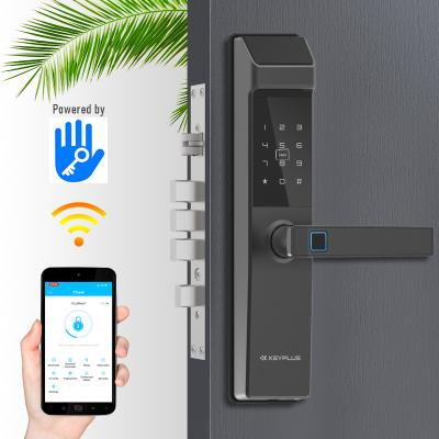 China Smart Office Wifi Door Fingerprint Password Open Smart App Digital Door Lock Lock Tuya Lock for sale