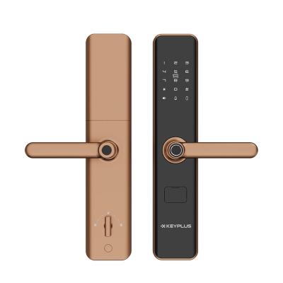 China Bedroom/Apartment/Airbnb/Newest Electronic Fingerprint Magnetic Card Aluminum Alloy Smart Door Lock Apartment Commercial Office Campus Lock for sale