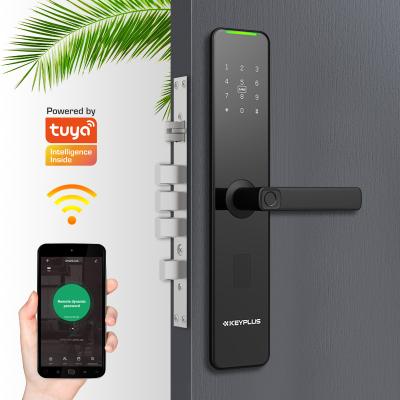 China Download Records 2021 Promotional Wifi Handle Interior Doors Security Digital Products Smart Locks for sale