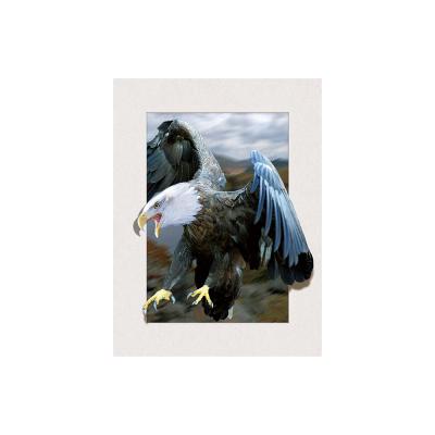 China Other New Decoration 5d 3d Lenticular Picture With Frame for sale