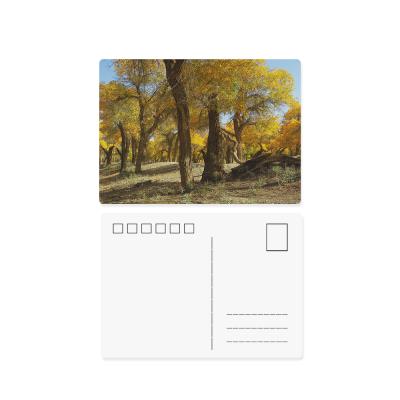 China Customize High Quality Good Price 3d Postcard From World Class 3D Lenticular Printing Manufacturer for sale