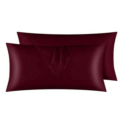 China Wholesale Anti-Static Pure Silk Pillowcase Pure Silk Zipper Pillowcase Ice Throw Satin Face Wrap Bed Body Double Waist Pillow Cover for sale