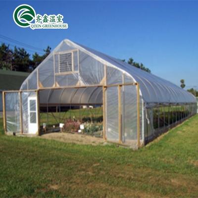 China Customizable Size High Tunnel Agricultural Single-span Plastic Film Greenhouse for Vrgetable for sale