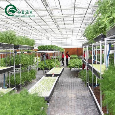 China Large Hydroponic Galvanized Steel Pipe For Film Greenhouses in Double or Single Layer for sale