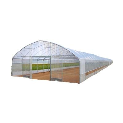 China Hydroponic Supplies for Single-Span Greenhouses Cooling Irrigation Ventilation and More for sale