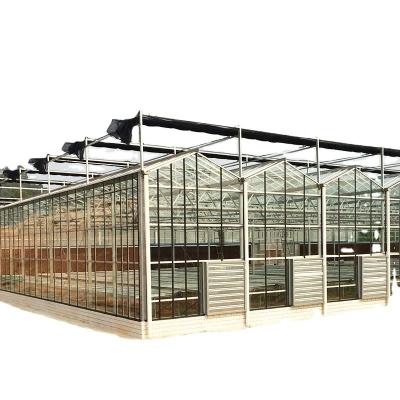 China Large Customized Agricultural Glass Greenhouse with PVC Hydroponic Gutter System for sale