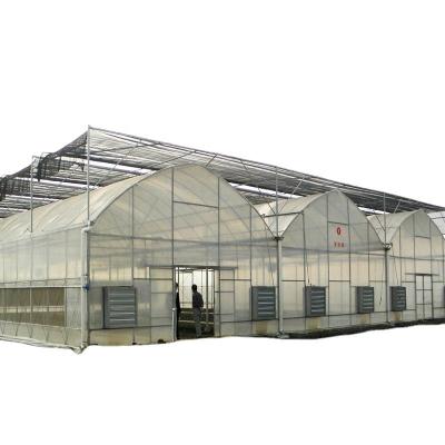 China Used Container Tomato Greenhouse PE Material Optional Ventilation System for sale