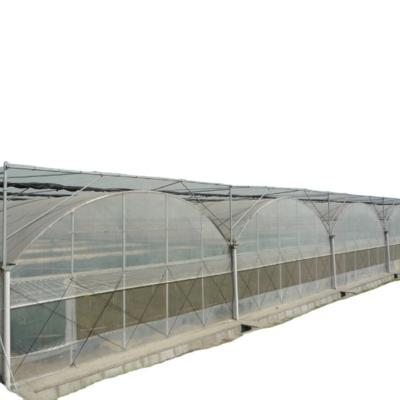 China Multi-Span Landbouwgreenhouses Hydroponic Aeroponic Tower Tuin voor film Greenhouses Te koop