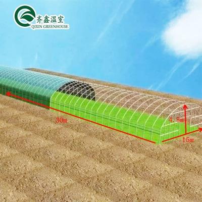 China Film Covered Greenhouse Tower Garden/Aduaponics for Sustainable Farming Solutions for sale