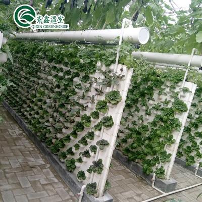 China Boost Potato Harvest Large Plastic Pipes Multi-Span Agricultural Greenhouses for sale