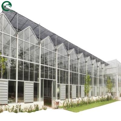 China Good Light Permeability Essential for Venlo Glass Greenhouse in Agricultural Industry for sale