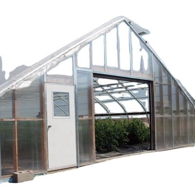 China Single Span Greenhouse Mushroom Growing Equipment Covered with Transparent Plastic Film for sale