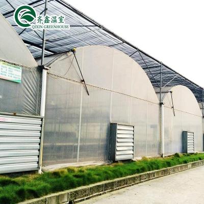 China Greenhouse Aquaponics Hydroponic Growing System with Cooling and Ventilation Options for sale