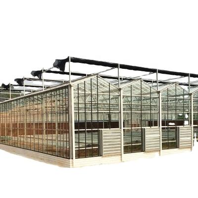 China 3.8m-9.8m Ridge Height Glass Solar Greenhouse voor klantvereisten Te koop