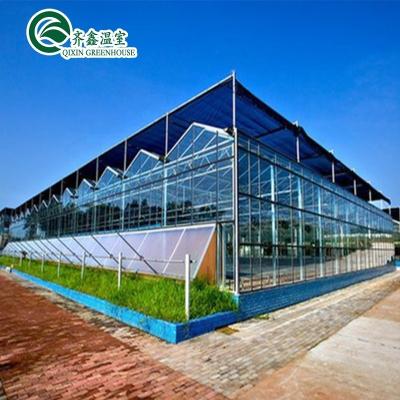 China Large Glass Covered Garden Greenhouses for Versatile Planting Options for sale