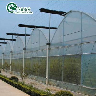 Chine Serre en polytunnel recouverte de film plastique avec système hydroponique et ventilation à vendre