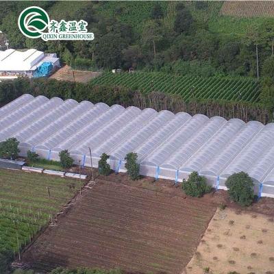 China Agricultural Greenhouse Inside and Outside Shading System with Advanced Seeding Machine for sale