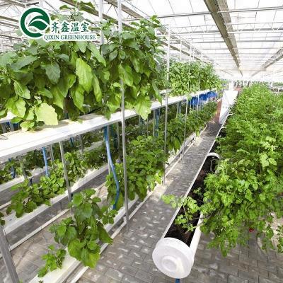 China Multi-Span Agricultural Greenhouses with PO Film Redefining Indoor Hydroponic Systems for sale