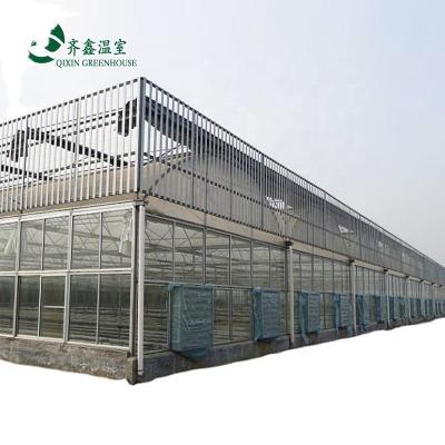 China Double Layer Green House for Cultivating Vegetable Fruits and Flowers for sale