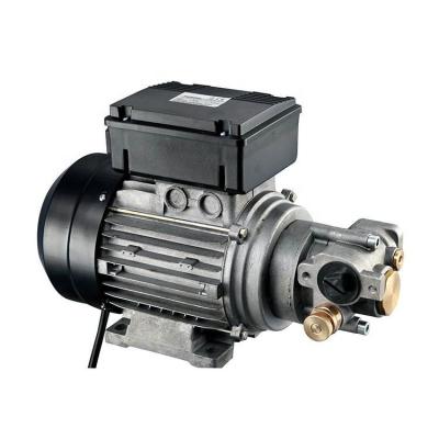 China Automotive Industry AC Oil Lubrication Gear Pump With CE for sale