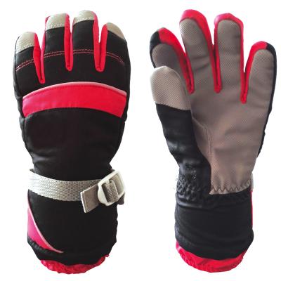 China Windproof Warm Waterproof Five Fingers SKI GLOVE For Kids for sale