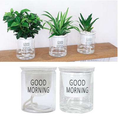 China Modern warehouse selling factory cheap ABS china pot lucency planters double bowl plastic hanging flowerpot thermoforming for sale