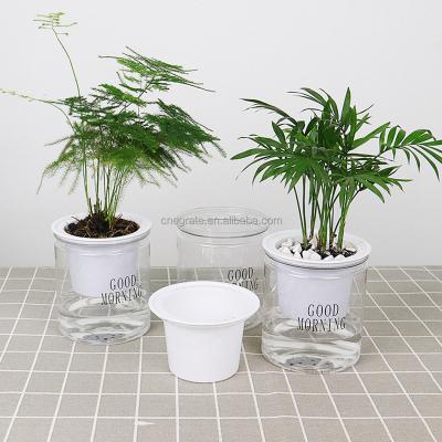 China Corrosion Resistance Flower Pot Plastic Water Absorption Flower Pot Lazy Automatic Self Watering Pots for sale