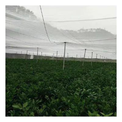 China Anti-Static Factory Sale Agriculture Greenhouse Fruit Trees Protection 100% HDPE + Anti UV Plastic Insect Net for sale