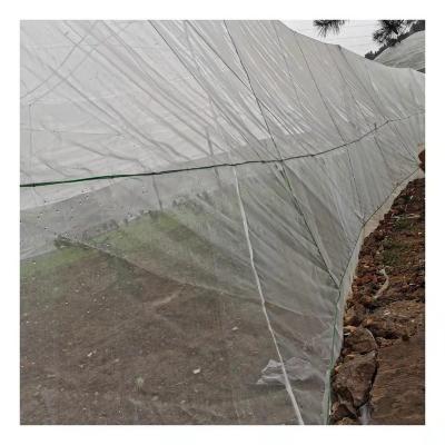 China Garden Used/Greenhouse Used/Farm Used And Other Plastic Mesh Nets Garden Vegetable Anti Insect Insect Net Agriculture Greenhouse Protection for sale