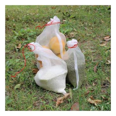 China Anti Insect Net Fruit Anti Insect Mesh Netting Netting for sale