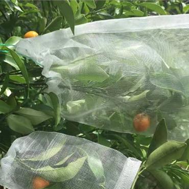 China Anti insect insect netting for crop protection fruit protection net bags fruit protect drawstring net bag fruit protection expelled net bag for sale