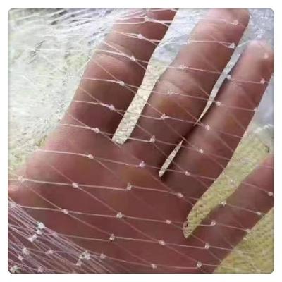 China 100%virgin HDPE+UV As Your Requirements Bird Net Wholesale Knitted Anti Bird Safety Net For Garden Fruit Vineyard Bird Trap Net 0.03mm for sale