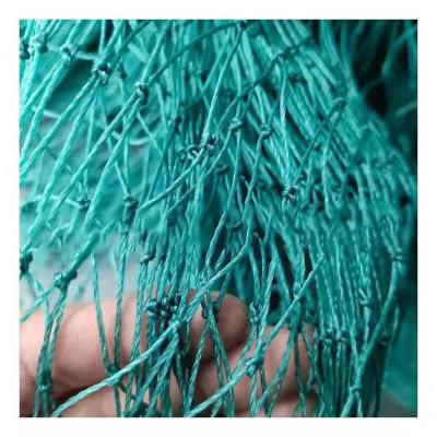 China PE +UV Stabilized 100% Virgin HDPE Hunting Extruded Anti Bird Net for sale