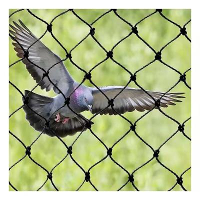 China 100%virgin HDPE+UV as your requirements factory supply 100% virgin bird net HDPE anti grove durable good quality for sale