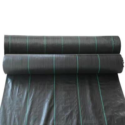 China Crop Weeds Mat Weeds Control Mat Mating Woven Fabric Agricultural Ground Cover Mesh for sale