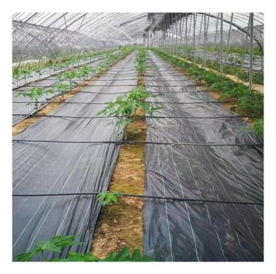 China Cultivation Weed Control Cloth Ground Cover Landscape Agricultural Cloth Grass Cloth for sale