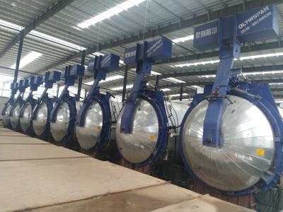 Cina L'industriale ha isolato il mattone del blocchetto dell'autoclave di AAC per il blocco in calcestruzzo sterilizzato nell'autoclave aerato in vendita