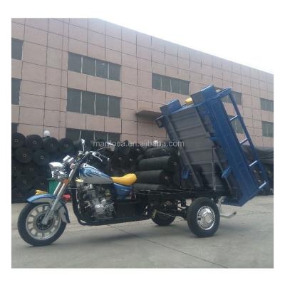 China Cargo MTR Motorized Tricycle 150cc For Iraq Market Cheaper for sale