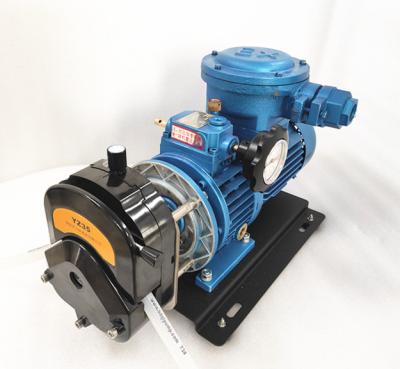 China Developing world water solutions factory explosion proof peristaltic pump with KZ25 pump head for sale