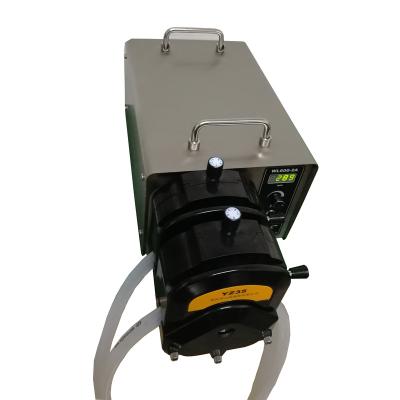 China Developing world water solutions large flow peristaltic pump WL600-2A with dual channels for industry use for sale