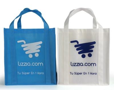 China Silkscreen Printed Logo Eco - Friendly Non Woven Carry Bag Nonwoven Cooler Bag for sale