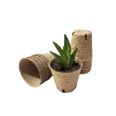 China Cardboard Pulp Seedlings Degradable 8cm Circular Gardening Culture With Holes Paper Cup Pulp Seedling Circular Pot 8 Cups Degradable for sale