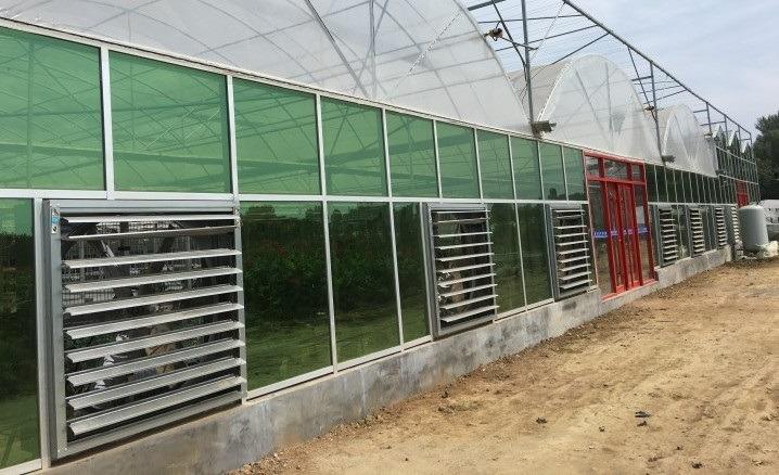 Verified China supplier - Qingzhou Rainbow Modern Agriculture Development Co., Ltd.