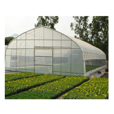 China Agriculture Poultry Farming Single Span Plastic Film Greenhouse for sale