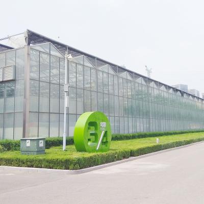 China Commercial Used Greenhouse Multi-span Hydroponic Cutter Smart Glass Greenhouses For Agriculture for sale